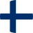 English (FI)